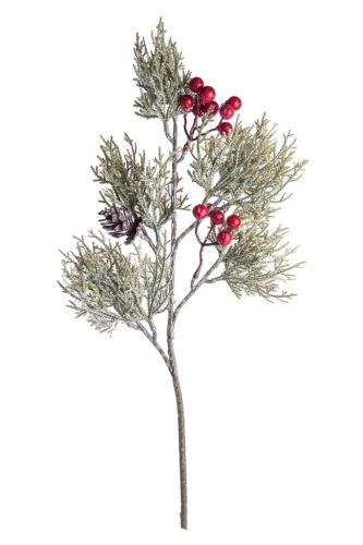 THUJA BRANCH RED BERRY FROSTED 50