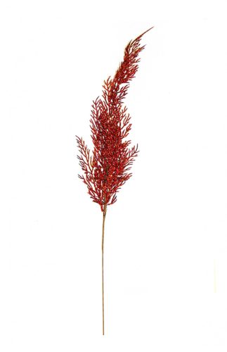 THUJA BRANCH RED