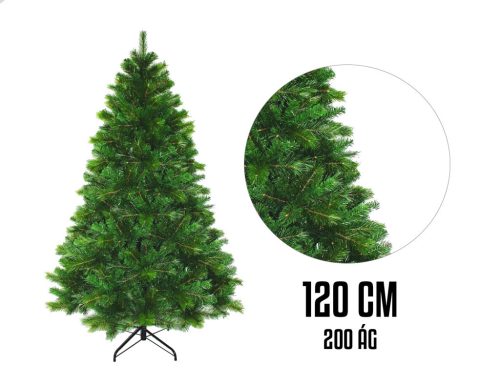 WOOD BEAUTY GREEN     200/120