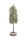THUJA+BASE WHITE+FLITT 49CM