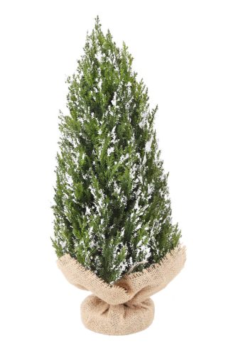 THUJA BALL+JUTE BAG WHITE+FLI 43CM