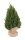 THUJA WREATH SNOWY 25CM