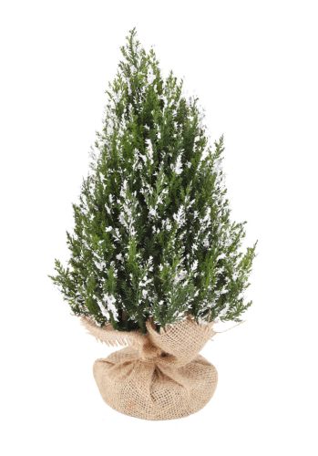 THUJA BALL+JUTE BAG GREEN 33CM