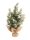 PINE+YEW GARLAND SNOWY   31CM