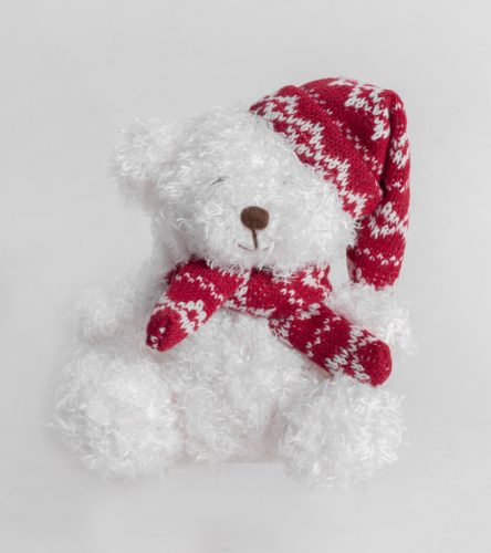TEXT.TEDDY BEAR SITTING WHT/BRN HAT 13