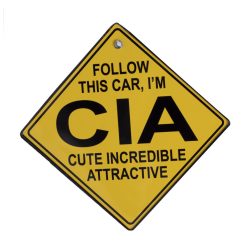 KRESZT.FOLLOW THIS CAR,CIA