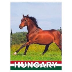 HM.METAL "HUNGARIAN HORSE" 9*6.5