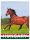 HM.METAL "HUNGARIAN HORSE" 9*6.5