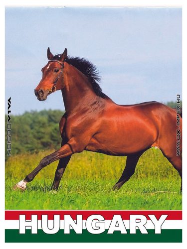 HM.METAL "HUNGARIAN HORSE" 9*6.5