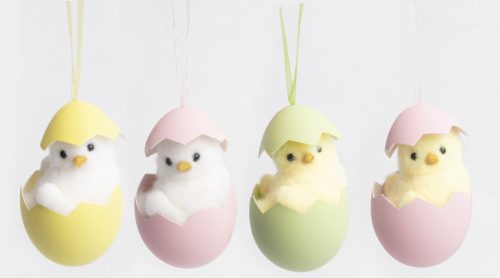 CHICKEN IN EGG AK.4S 8