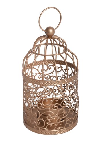 METAL MT.CAGE GOLDEN VINE 8*17
