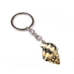 KT.SNAIL*2 BLK. STRIPED 2CM