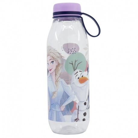HYDRO BOTTLE WITH HOOK 650 ML Disney Frozen