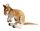 KANGAROO 110CM