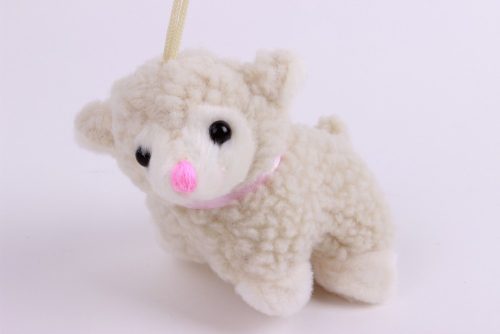 SMALL SHEEP