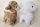 LAMB STANDING WHITE/BROWN 2STEMS 20