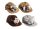BASEBALL CAP/6PCS.ANIMALS