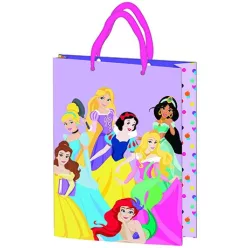   Gift bag 23x18x8.5cm, laminated plastic surface - Disney Princess