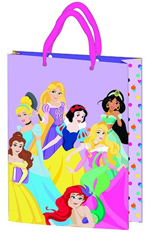 Gift bag 23x18x8.5cm, laminated plastic surface - Disney Princess