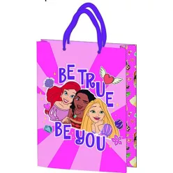   Gift bag 25x18.5x8cm, laminated plastic surface - Disney Princess