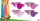 44Cats swim brief (3-6 years)