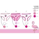 Flamingo girl panties - 3-piece cotton panties