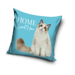 Cat pillowcase 40x40 cm