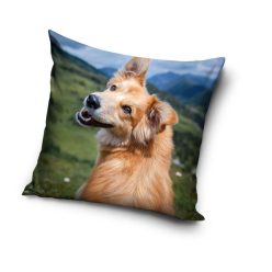 Dog pillowcase 40x40 cm