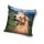 Dog pillowcase 40x40 cm