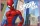 Spiderman bathroom mat, rug - 50 x 80 cm