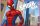 Spiderman rug, bathroom mat - 80 x 120 cm